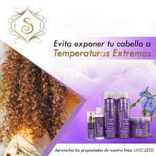 Simone Profesional Linoseed omega 3,6,9 kit incluye 5pcs Libre de Sulfato, Sodium Chloride